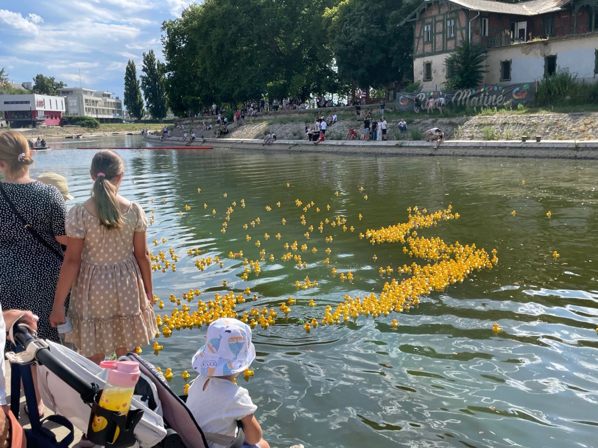 Egymillió forint gyűlt össze a jótékonysági kacsaúsztatással
